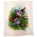 Beautiful Bird Painting – 30cm x 25cm