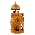 Wooden Maharaja Ambabari 