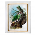 Bird Painting on Silk ( 20cm x 15cm )