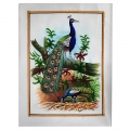 Lovely Peacock Hand Painting ( 20cm x 15cm )